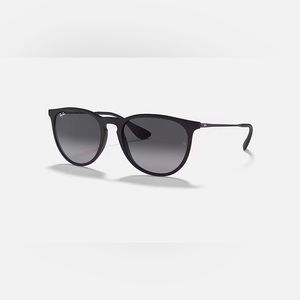Erika Ray Ban Sunglasses with case